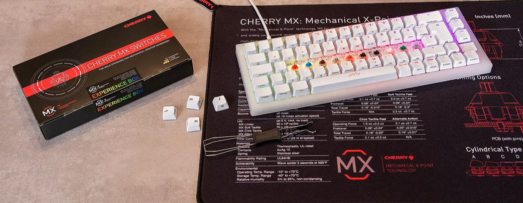 Beliebteste CHERRY MX Switches
